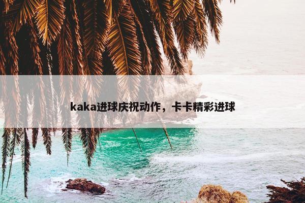kaka进球庆祝动作，卡卡精彩进球