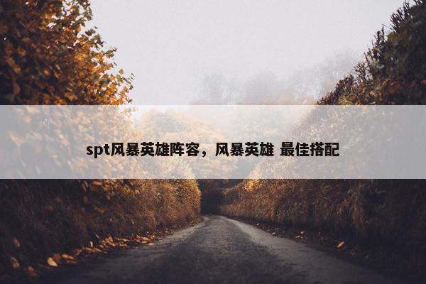spt风暴英雄阵容，风暴英雄 最佳搭配