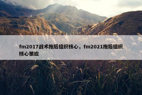 fm2017战术拖后组织核心，fm2021拖后组织核心策应