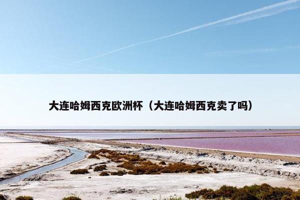 大连哈姆西克欧洲杯（大连哈姆西克卖了吗）