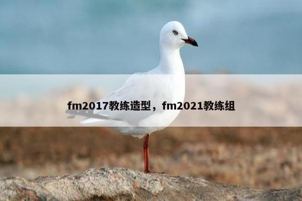 fm2017教练造型，fm2021教练组
