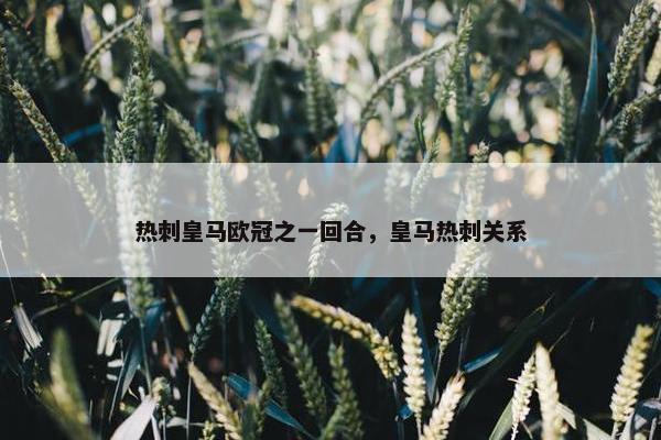 热刺皇马欧冠之一回合，皇马热刺关系