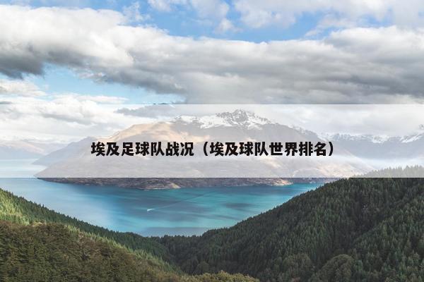 埃及足球队战况（埃及球队世界排名）