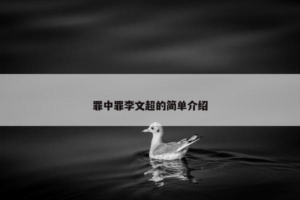 罪中罪李文超的简单介绍