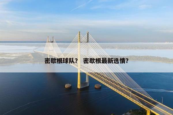 密歇根球队？ 密歇根最新选情？