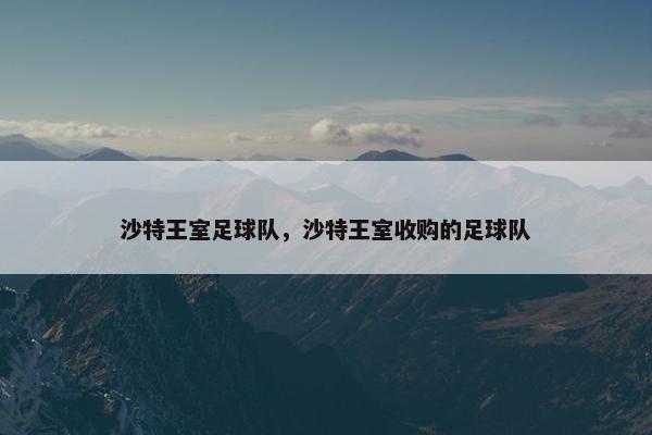 沙特王室足球队，沙特王室收购的足球队