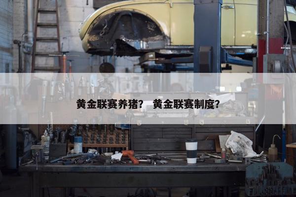黄金联赛养猪？ 黄金联赛制度？