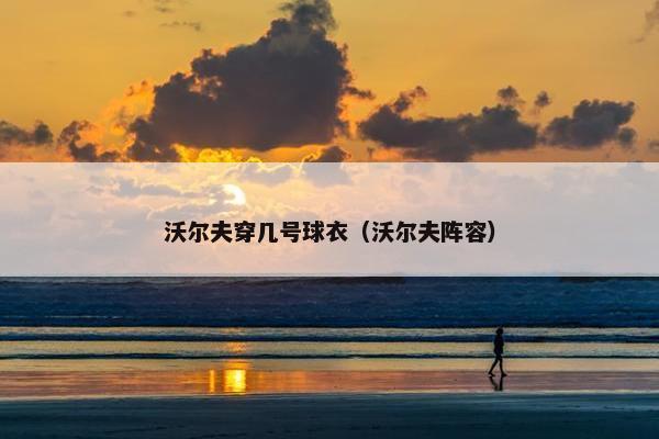 沃尔夫穿几号球衣（沃尔夫阵容）