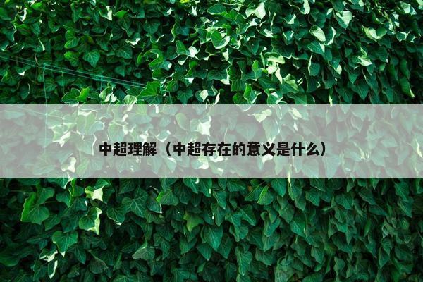 中超理解（中超存在的意义是什么）