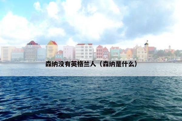 森纳没有英格兰人（森纳是什么）