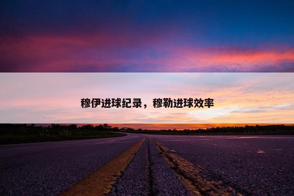 穆伊进球纪录，穆勒进球效率