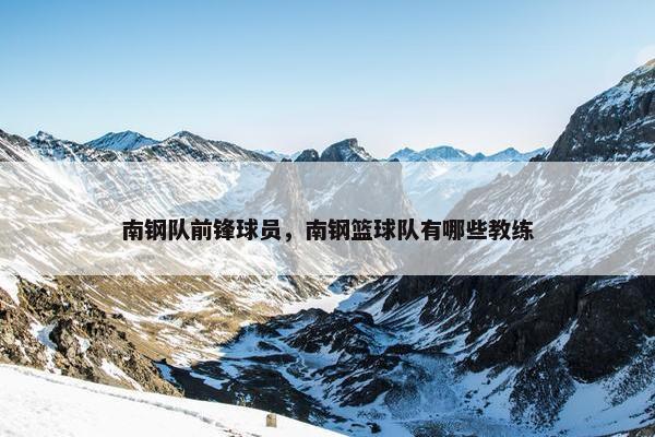 南钢队前锋球员，南钢篮球队有哪些教练