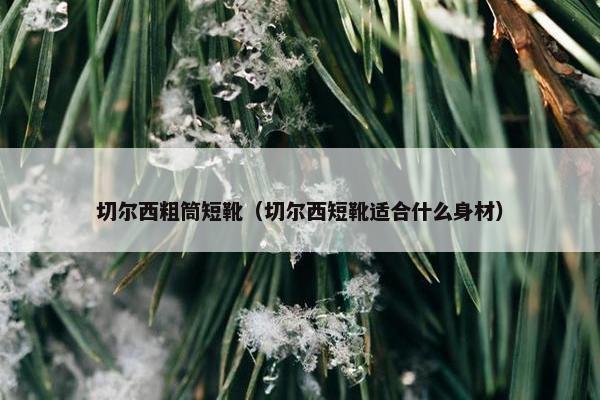 切尔西粗筒短靴（切尔西短靴适合什么身材）