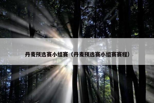 丹麦预选赛小组赛（丹麦预选赛小组赛赛程）