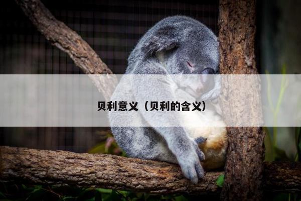 贝利意义（贝利的含义）