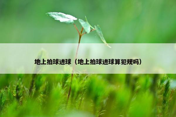地上拍球进球（地上拍球进球算犯规吗）