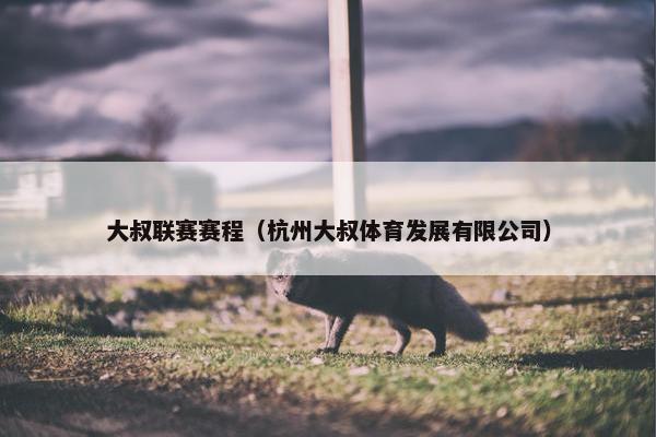 大叔联赛赛程（杭州大叔体育发展有限公司）
