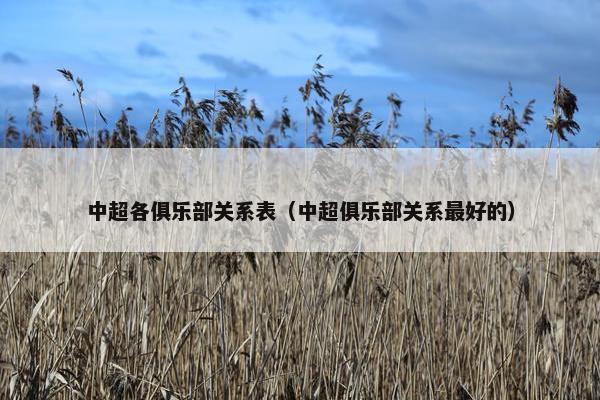 中超各俱乐部关系表（中超俱乐部关系最好的）