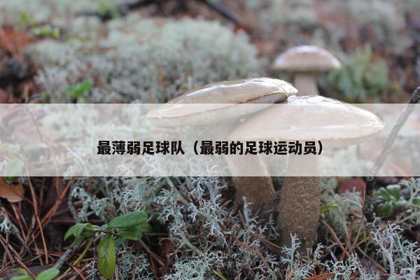 最薄弱足球队（最弱的足球运动员）