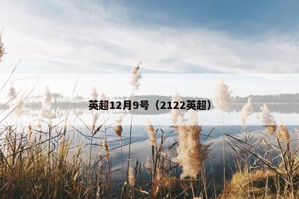 英超12月9号（2122英超）