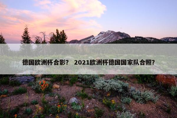 德国欧洲杯合影？ 2021欧洲杯德国国家队合照？