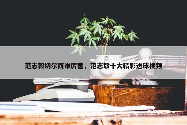 范志毅切尔西谁厉害，范志毅十大精彩进球视频
