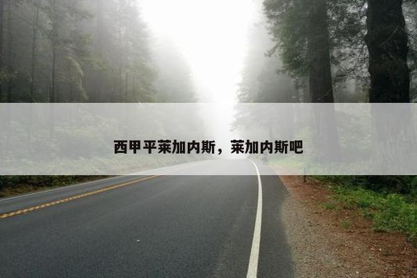 西甲平莱加内斯，莱加内斯吧