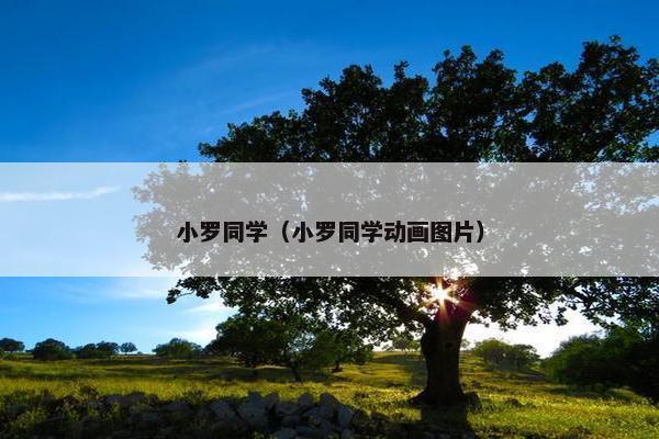 小罗同学（小罗同学动画图片）