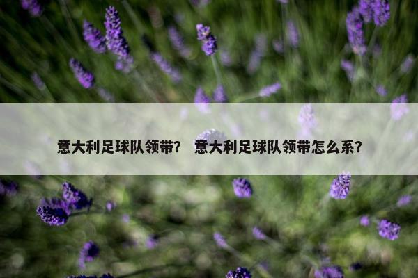 意大利足球队领带？ 意大利足球队领带怎么系？