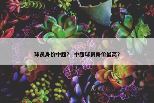 球员身价中超？ 中超球员身价最高？
