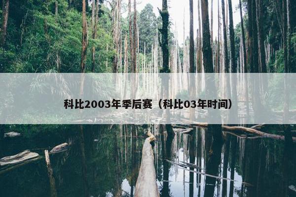 科比2003年季后赛（科比03年时间）