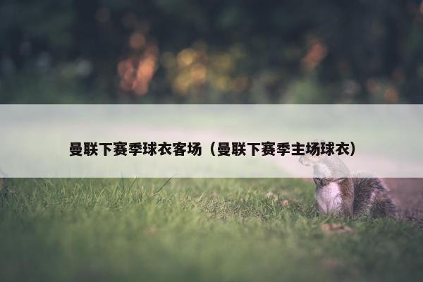曼联下赛季球衣客场（曼联下赛季主场球衣）