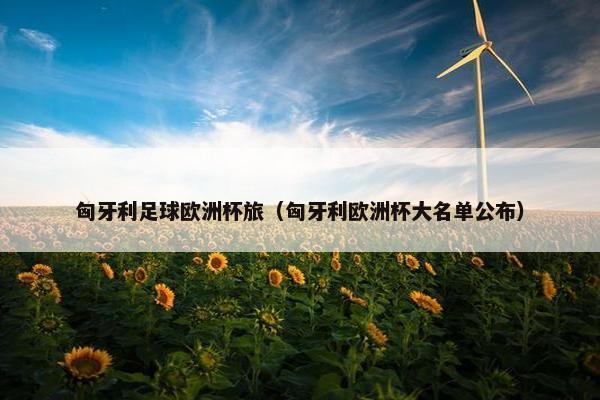 匈牙利足球欧洲杯旅（匈牙利欧洲杯大名单公布）