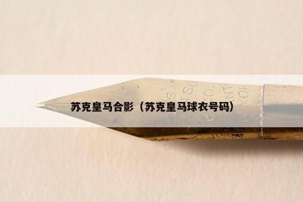 苏克皇马合影（苏克皇马球衣号码）