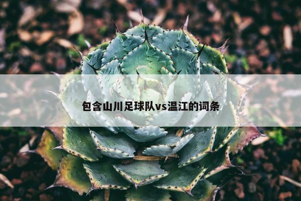 包含山川足球队vs温江的词条
