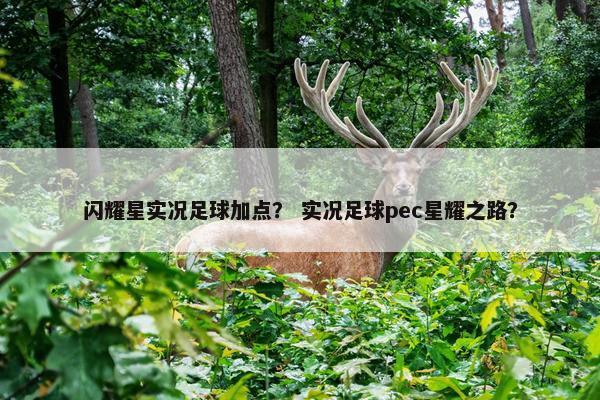 闪耀星实况足球加点？ 实况足球pec星耀之路？