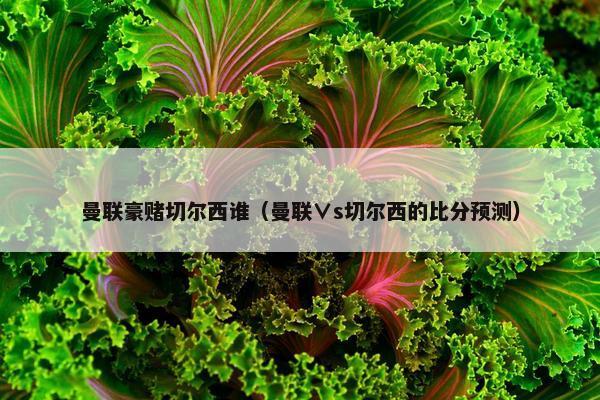 曼联豪赌切尔西谁（曼联∨s切尔西的比分预测）