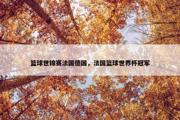篮球世锦赛法国德国，法国篮球世界杯冠军