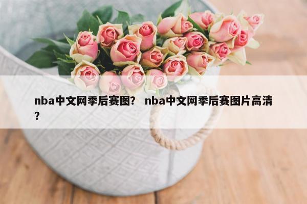 nba中文网季后赛图？ nba中文网季后赛图片高清？