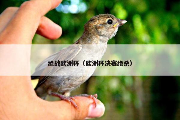 绝战欧洲杯（欧洲杯决赛绝杀）