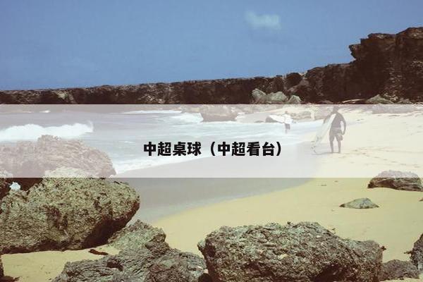 中超桌球（中超看台）
