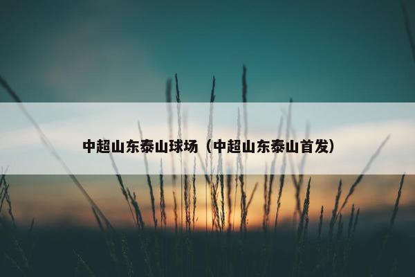 中超山东泰山球场（中超山东泰山首发）