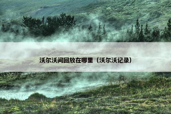 沃尔沃间回放在哪里（沃尔沃记录）