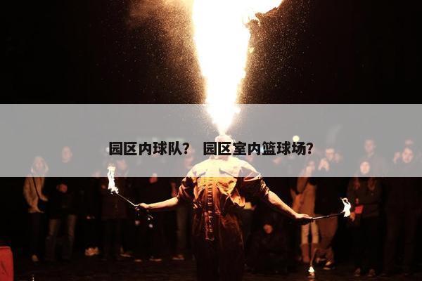 园区内球队？ 园区室内篮球场？