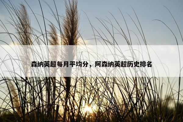 森纳英超每月平均分，阿森纳英超历史排名