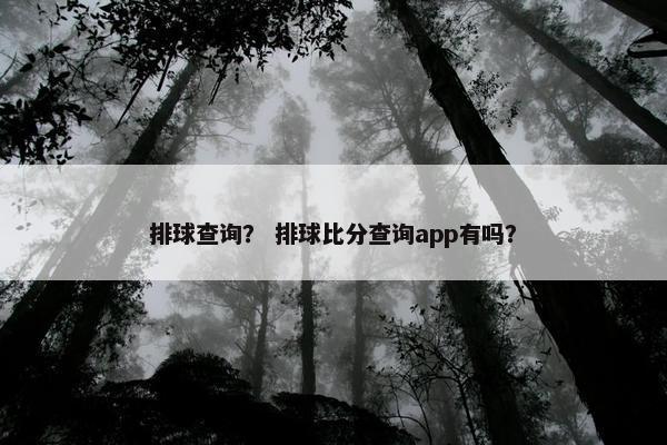 排球查询？ 排球比分查询app有吗？