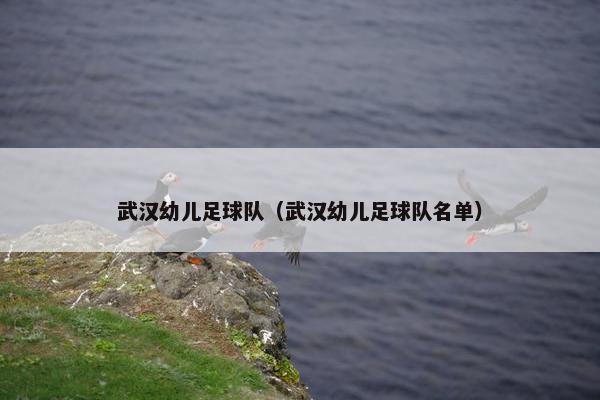 武汉幼儿足球队（武汉幼儿足球队名单）