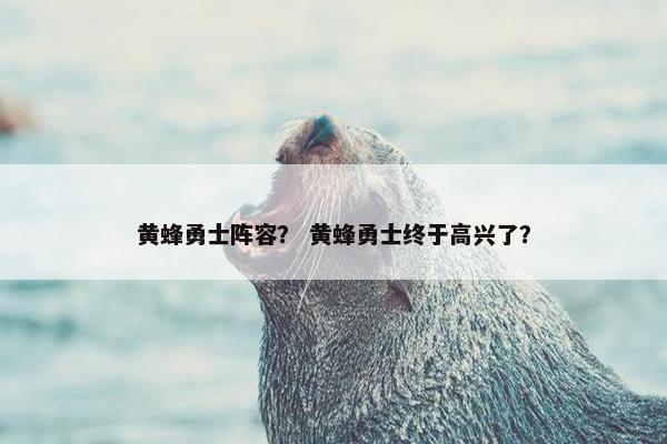 黄蜂勇士阵容？ 黄蜂勇士终于高兴了？