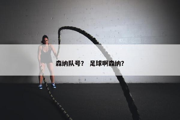 森纳队号？ 足球啊森纳？