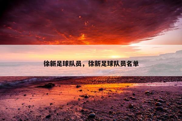 徐新足球队员，徐新足球队员名单